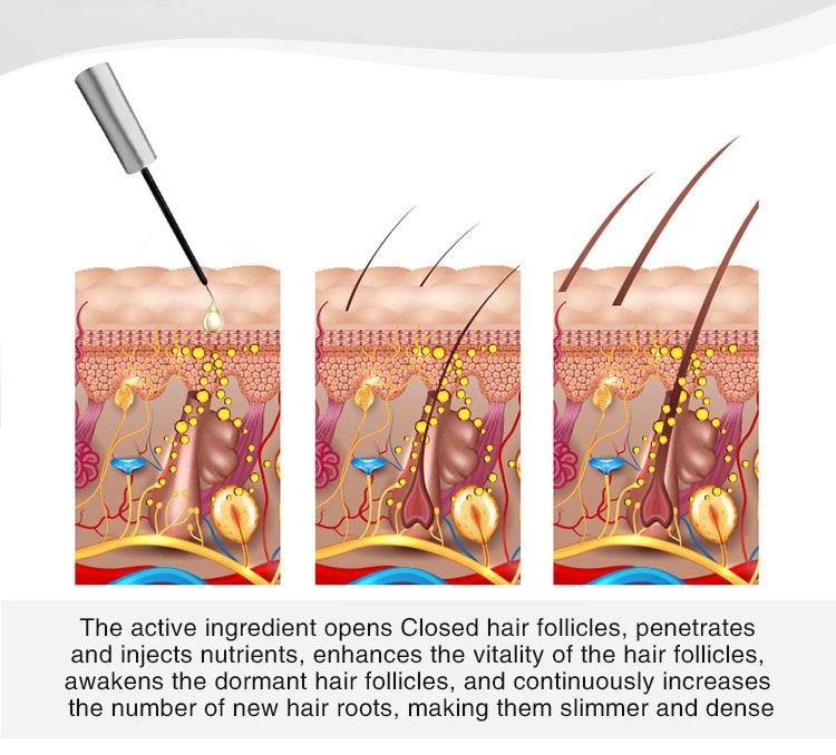 eyebrow and lash growth